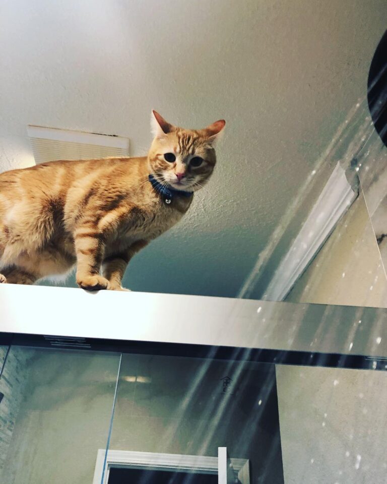 Hi. Whatcha doin?