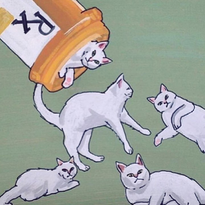 “How to Win Cats and Isolate People” by