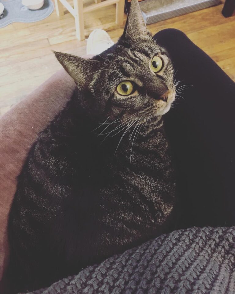 I am just gonna loaf here.