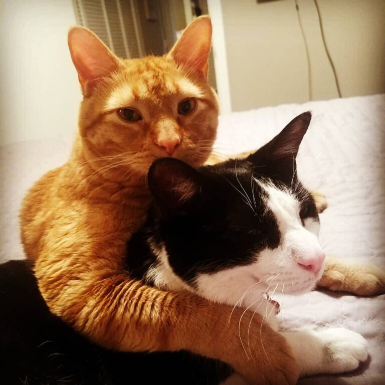I got your back