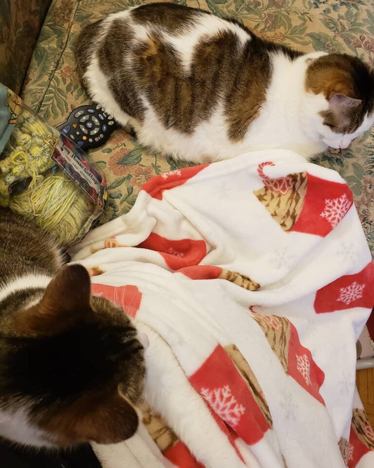 I had every intention of sewing today but who can resist knitting,