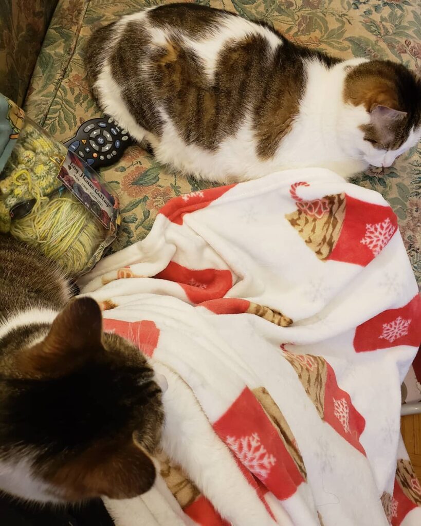 I had every intention of sewing today but who can resist knitting,