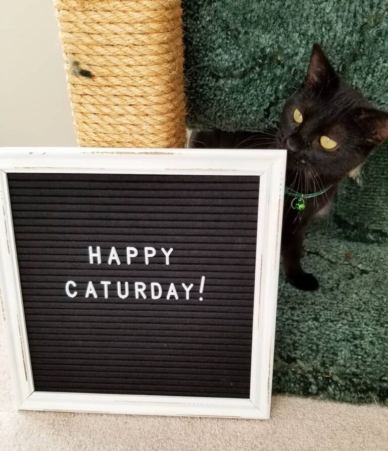 I tried getting Nox to pose in front of this sign but I think hes a