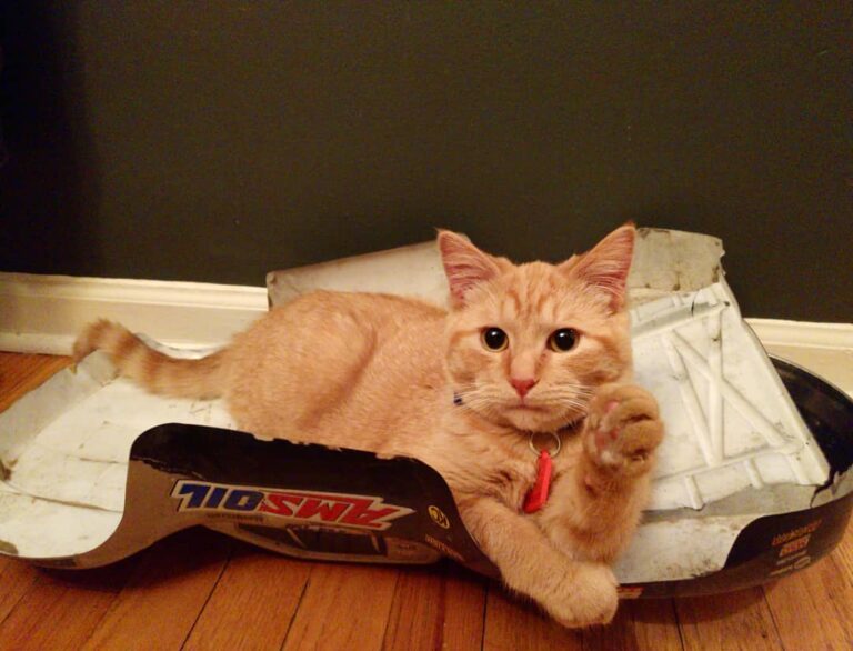 If it fits it sits