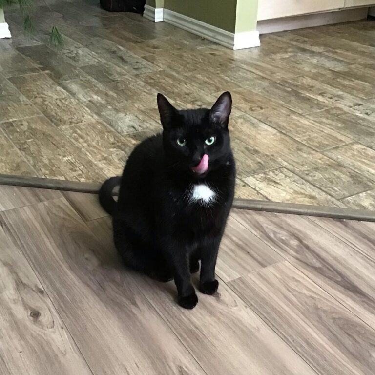 I’m only happy when I’m fed. . . .