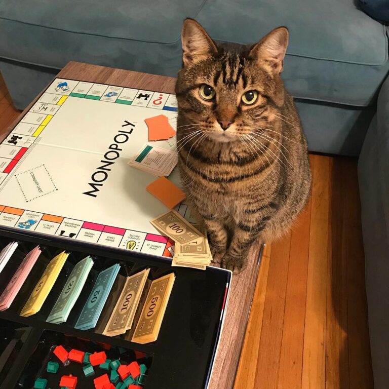 It wasn’t me . . .