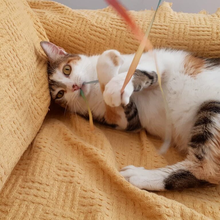 Itimalia que caçadora mais fofa essa Florence