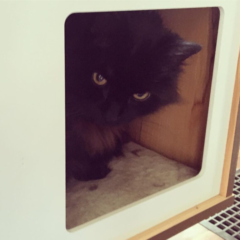 Joslyn in her cube of solitude.