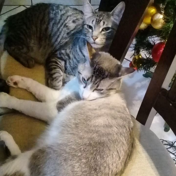 Mood desse sábado : de preguicinha e juntinhos do jeito q a gente