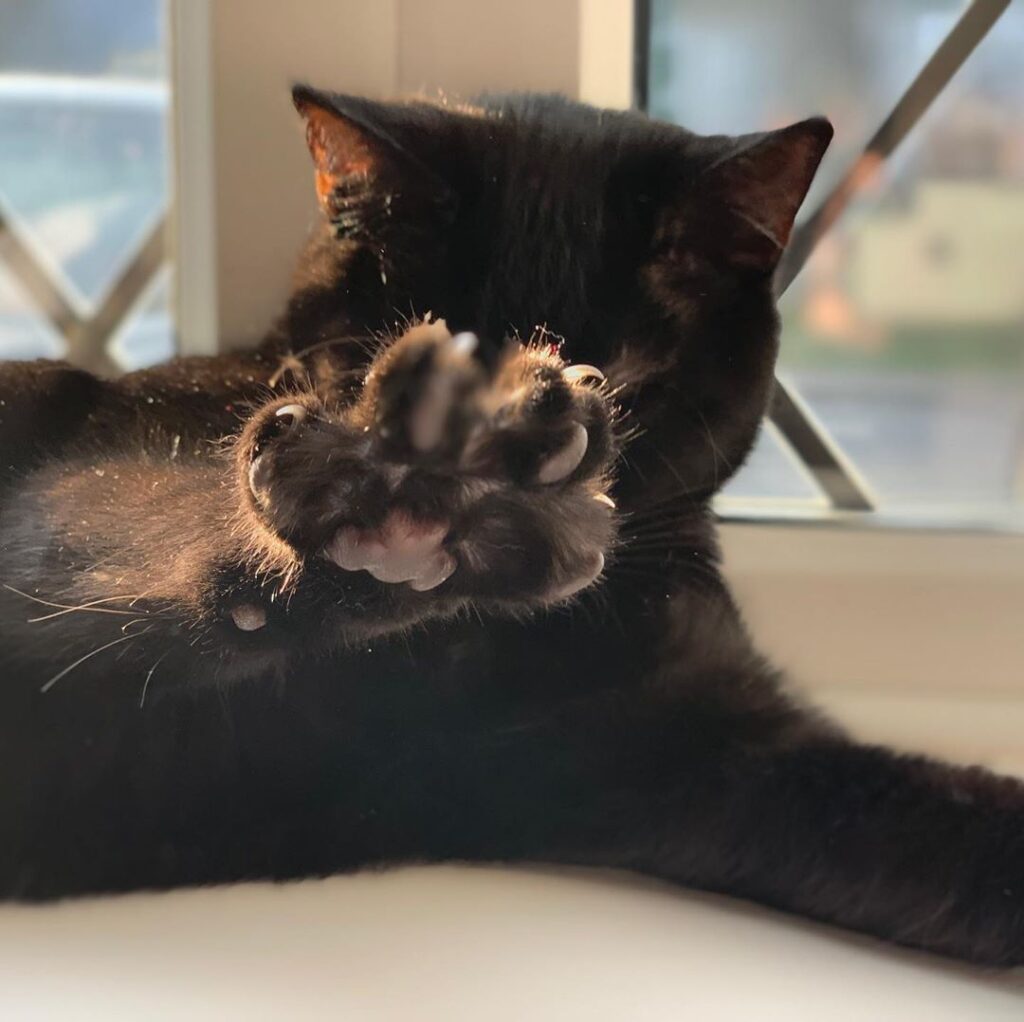 No photos