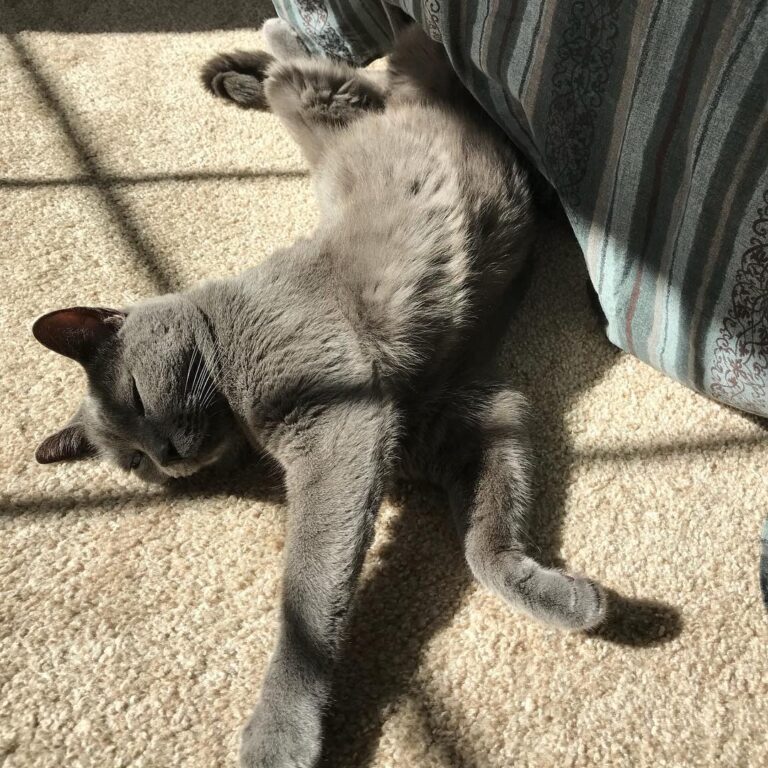 Nothing better on a than a spot in the sun.