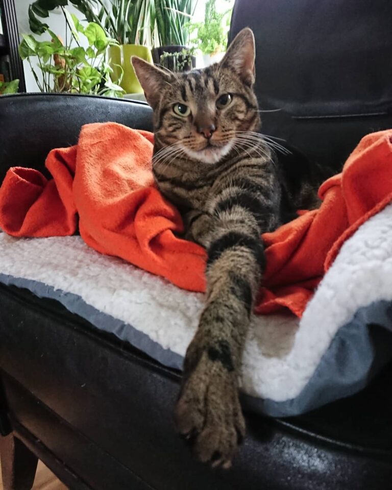 Oghma chilling out