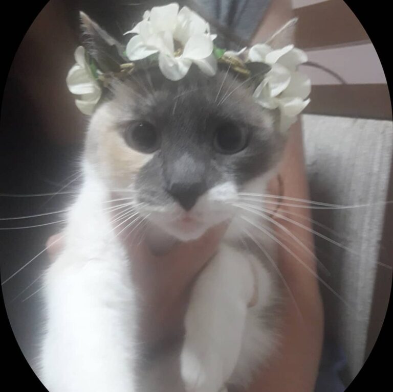 Olá, eu sou a Mellissa também conhecida como Melli! • • •