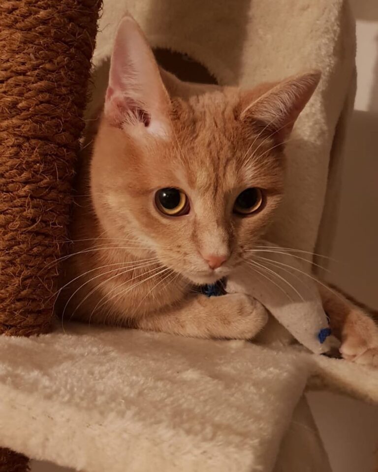 Playing with ma mouse!