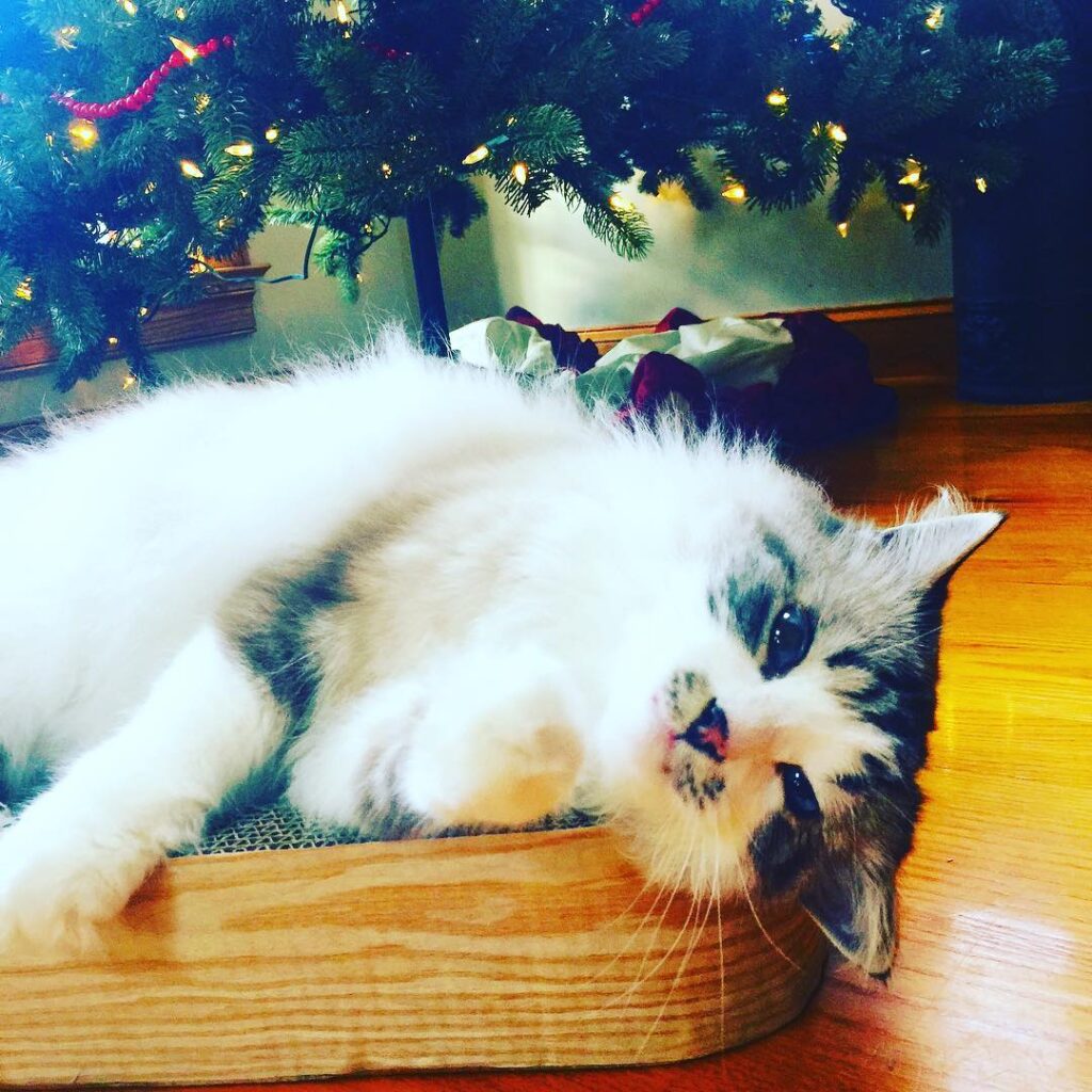 Santa Baby