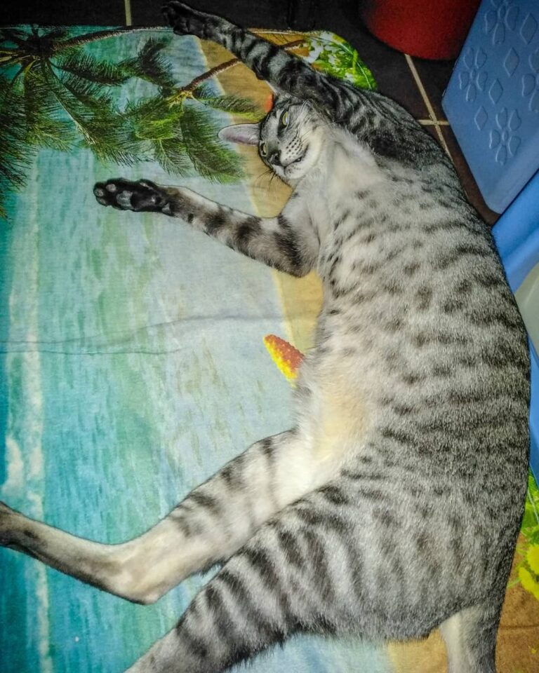 Saturday is relax day… Every day is relax day ⠀ Хорошо быть