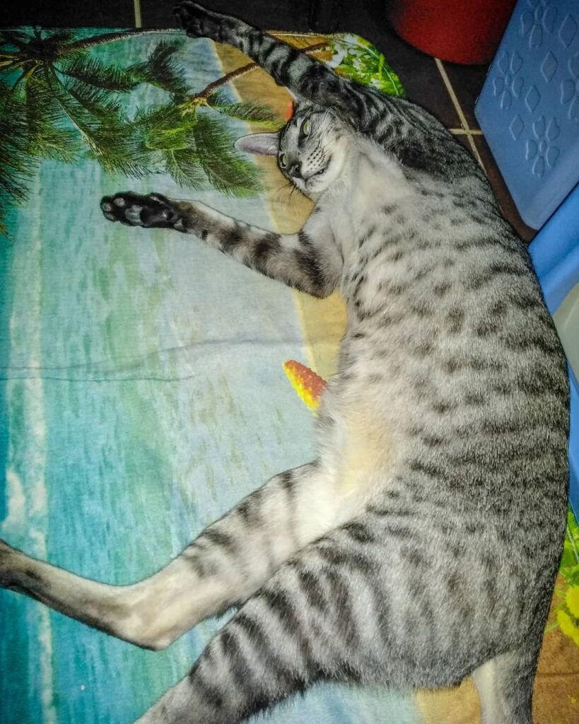 Saturday is relax day… Every day is relax day ⠀ Хорошо быть