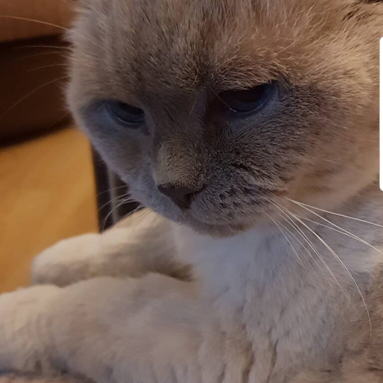 Saturday night cuds with my little ted face