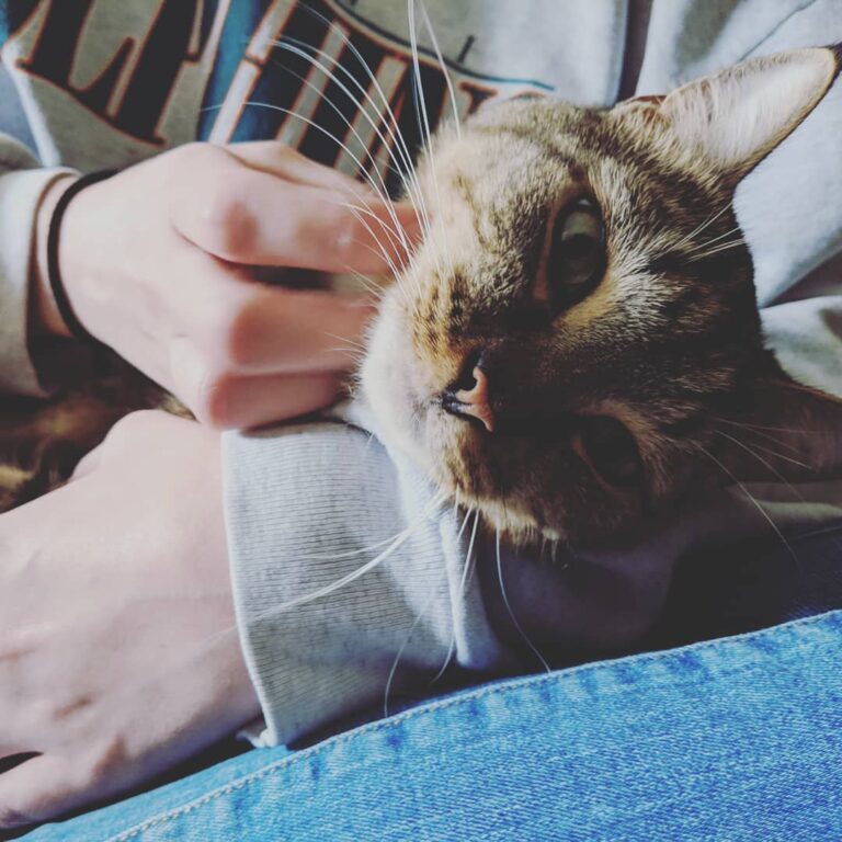 Saturday scratches