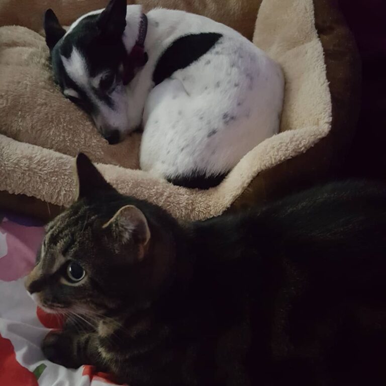 Sibling love