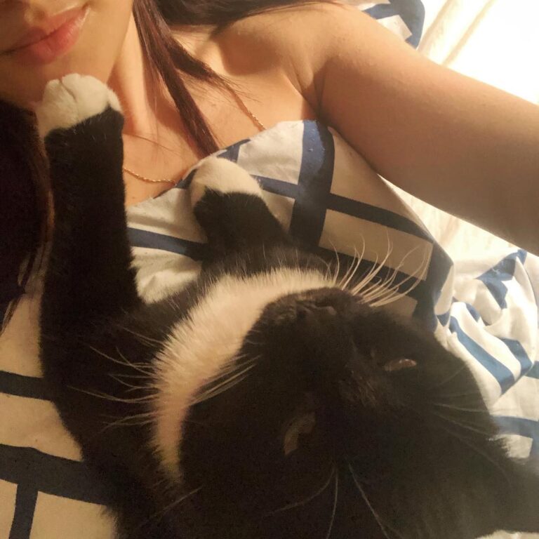 Singing goodnight songs to mommy every time before sleep cat