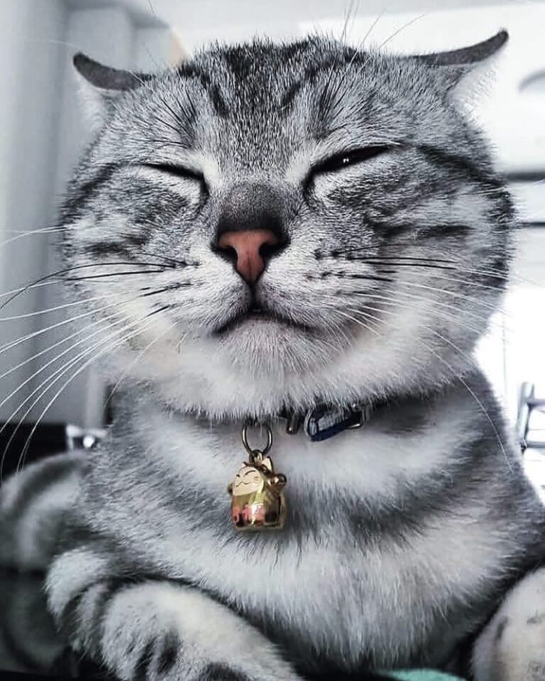 Sleepy . . . . . . .