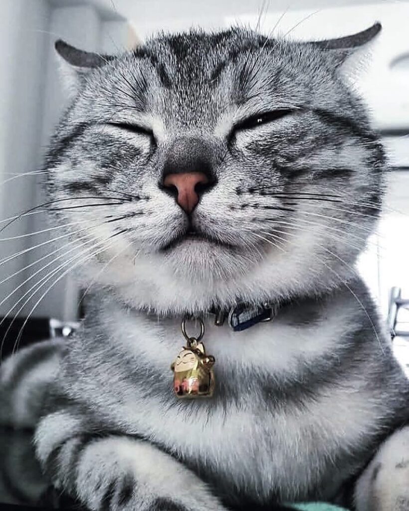 Sleepy . . . . . . .