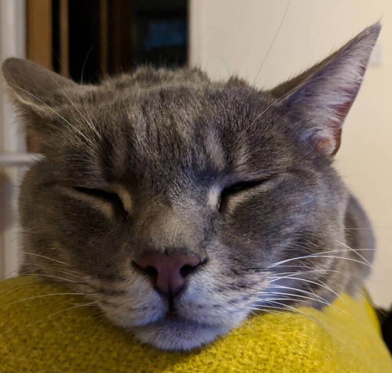 Sleepy head.