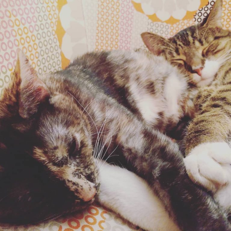 Snuggles