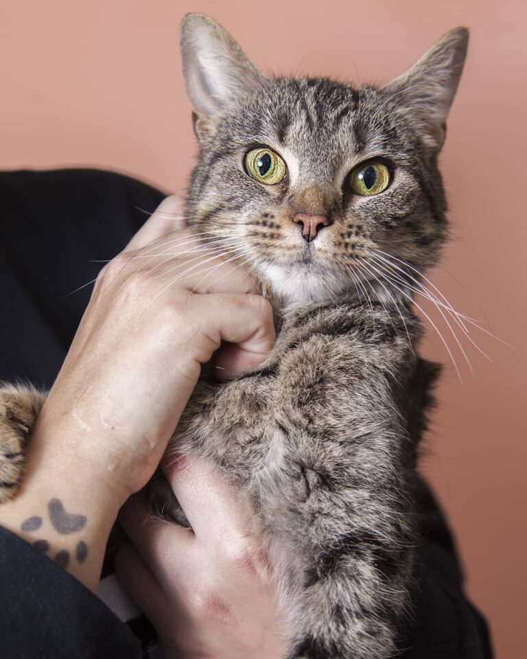 Sunny wants to remind you that the sun is out and the shelters are