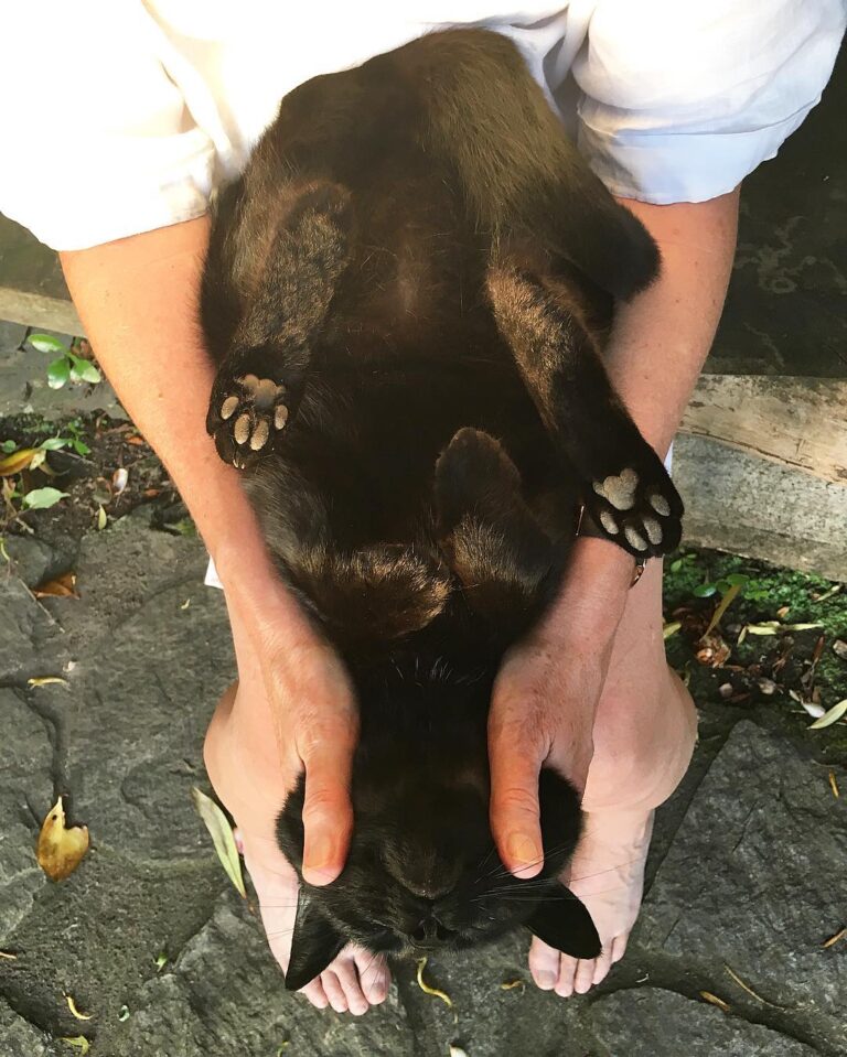 Sunset massages after a hard day in the garden