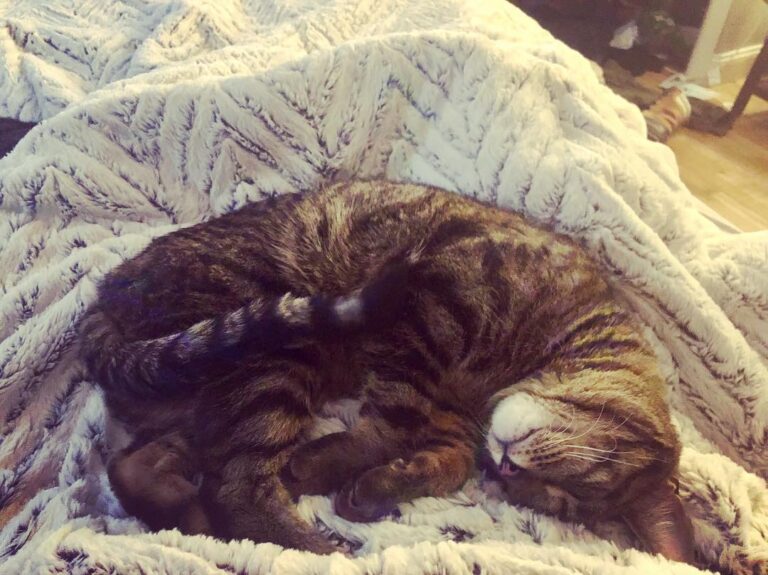 The best Saturdays are lazy Saturdays