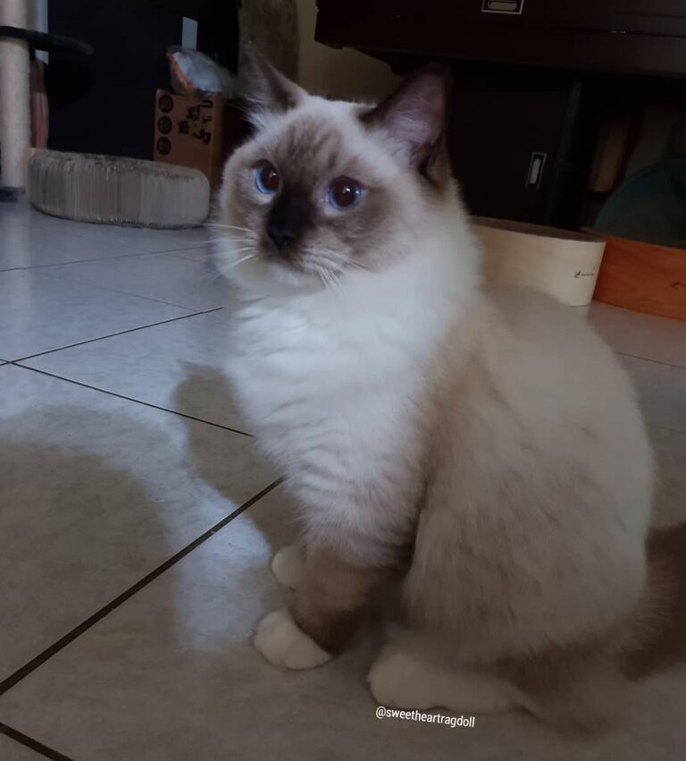 Theo: I am almost 7 mths old
