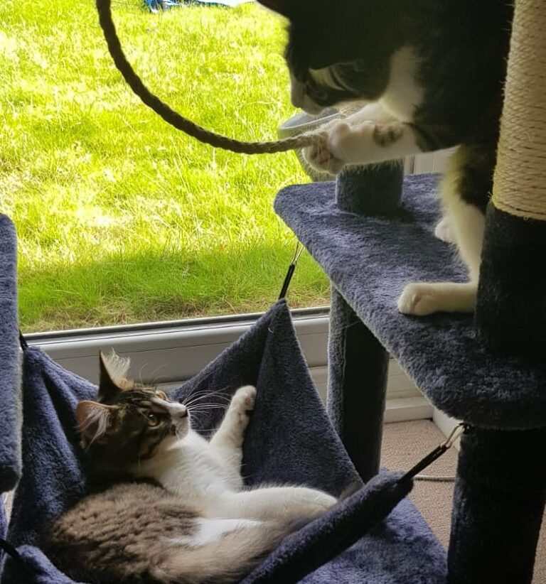 These two nutters a few months ago