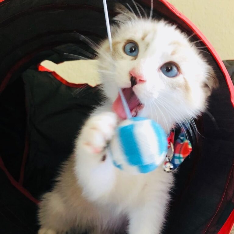 They call me BabyCat so that’s probably my name. . . . . . . . . . .