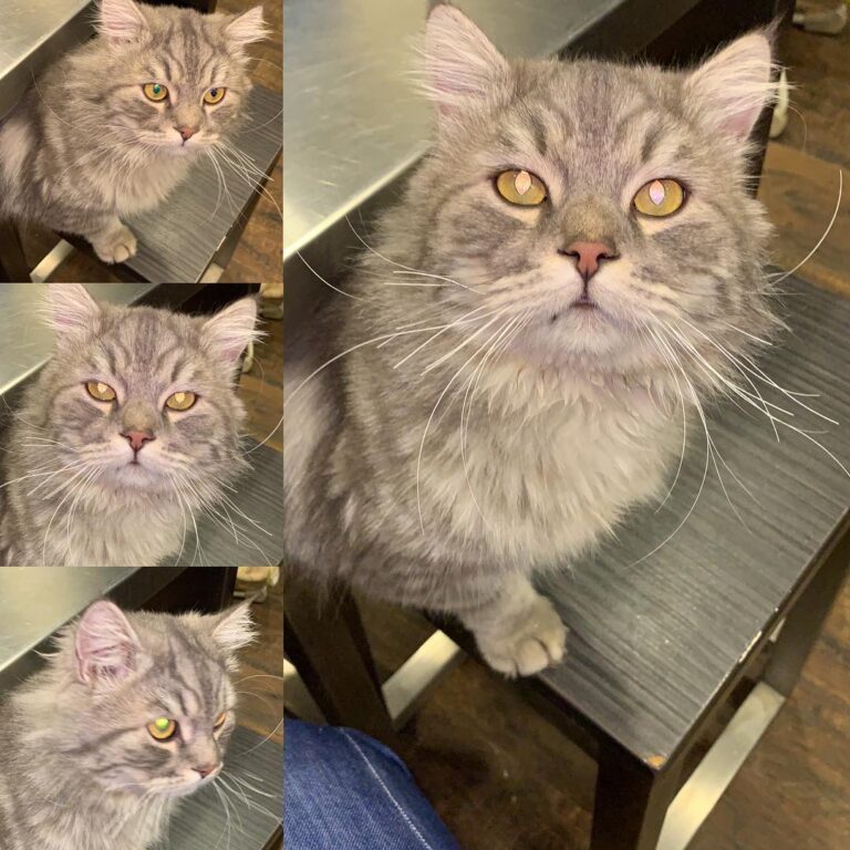 Thomas is back home with us