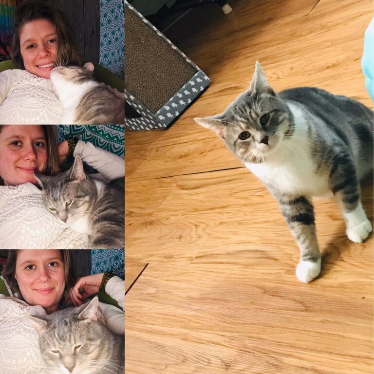 Welcome home Wilbur! Gracie has a new boyfrannn