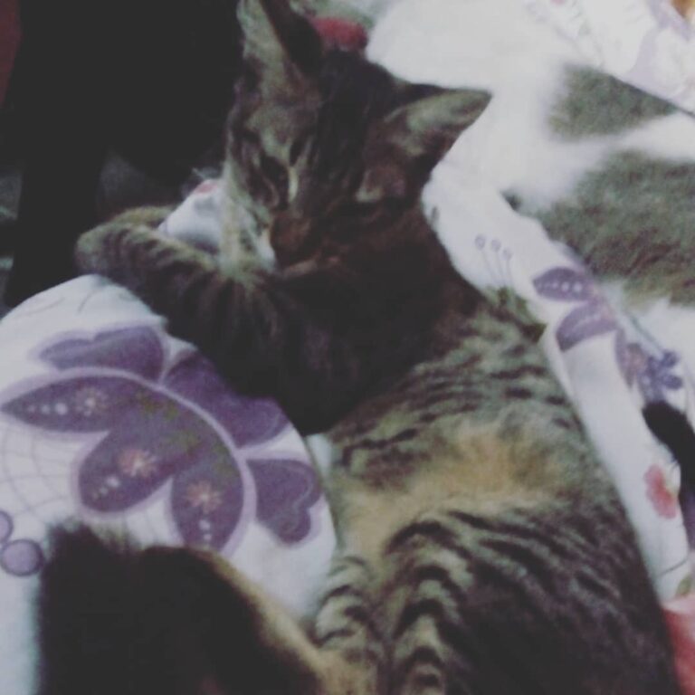 A irmãzinha da HANI , Lindinha .