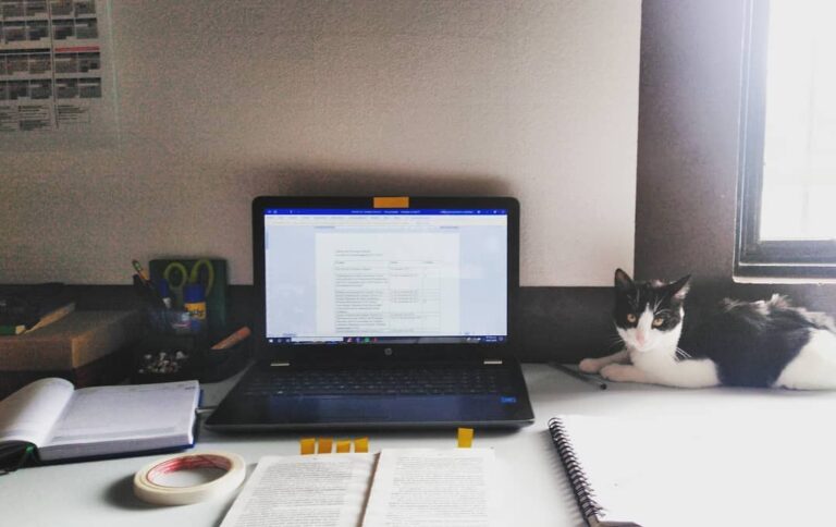 Also sometimes I like to work, read and write