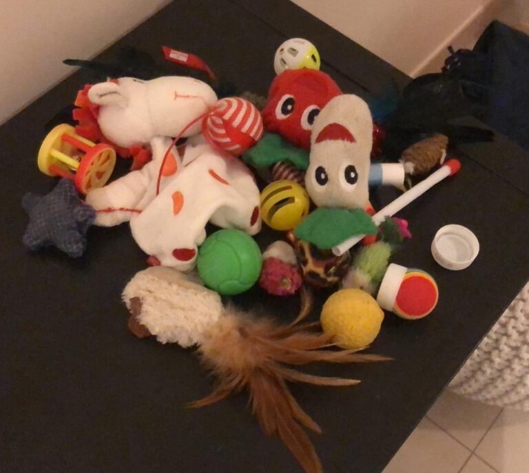 Apparently our kitties have too many toys