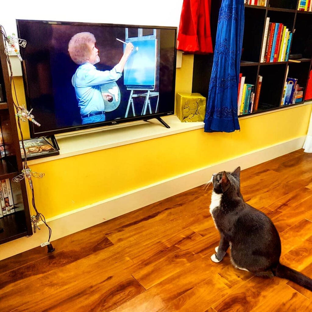 Bob Ross isn’t just for people. •