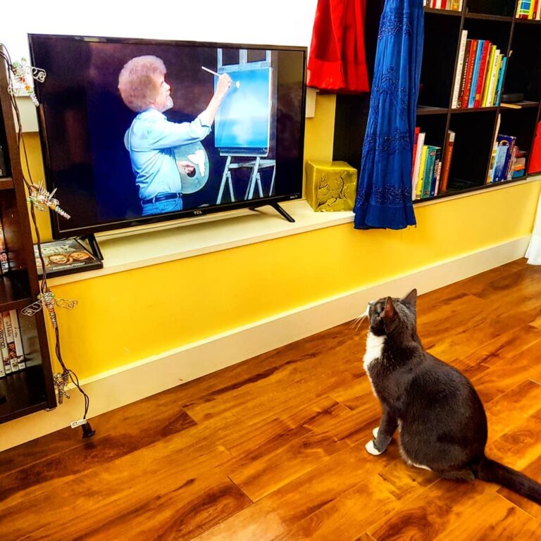 Bob Ross isn’t just for people. •