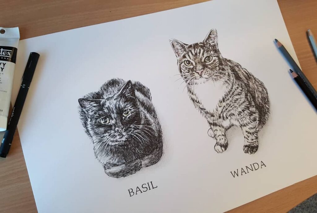 Cat portraits commission