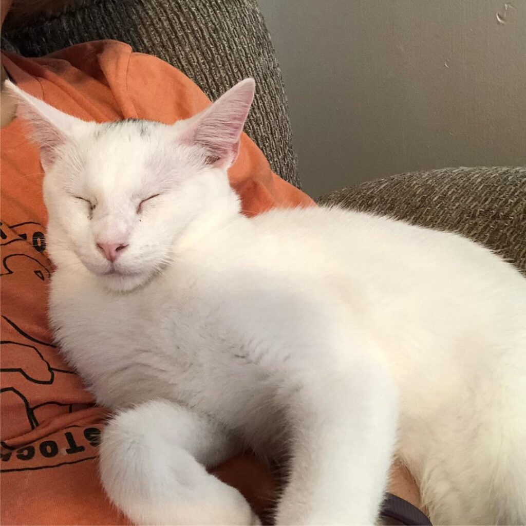 Cuddles with Henry!