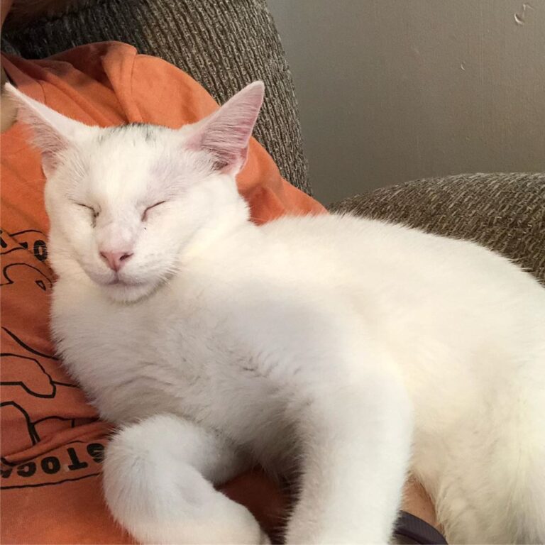 Cuddles with Henry!