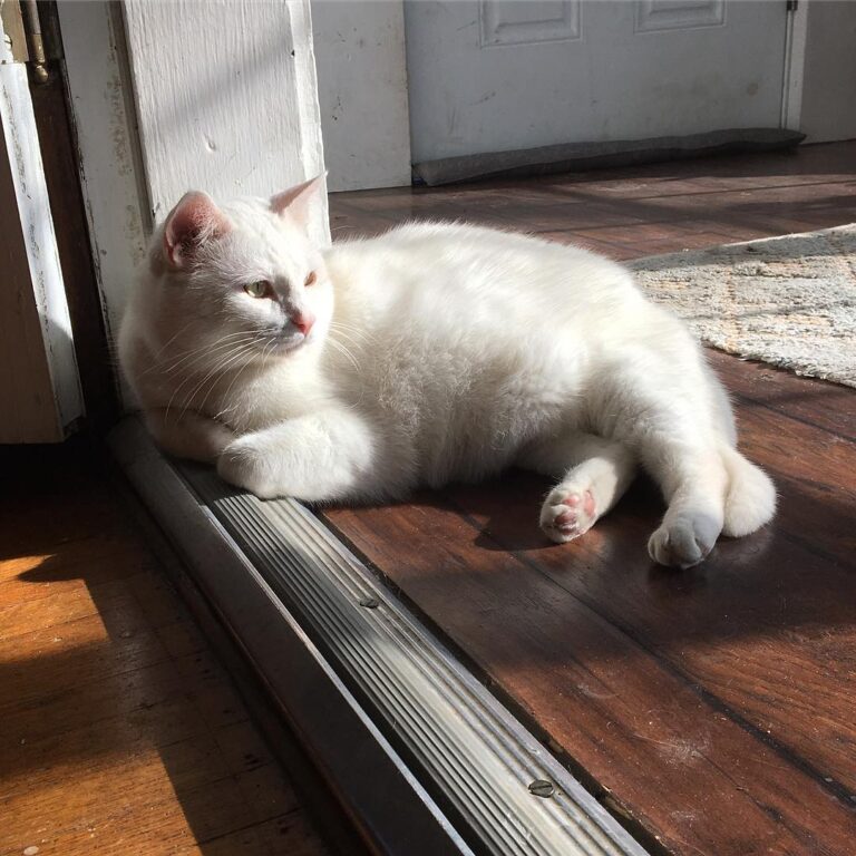 Eiseley catches the sun.