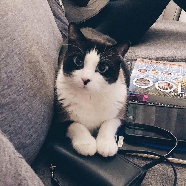 Felt cute. Might delete l8r. . .