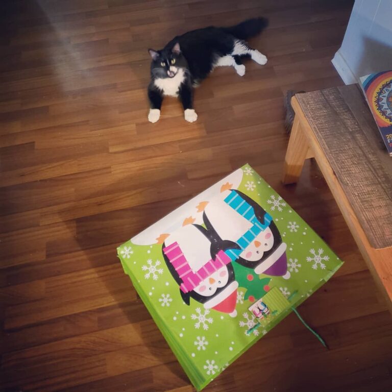 He drags this bag across the floor by the strings for some reason lol