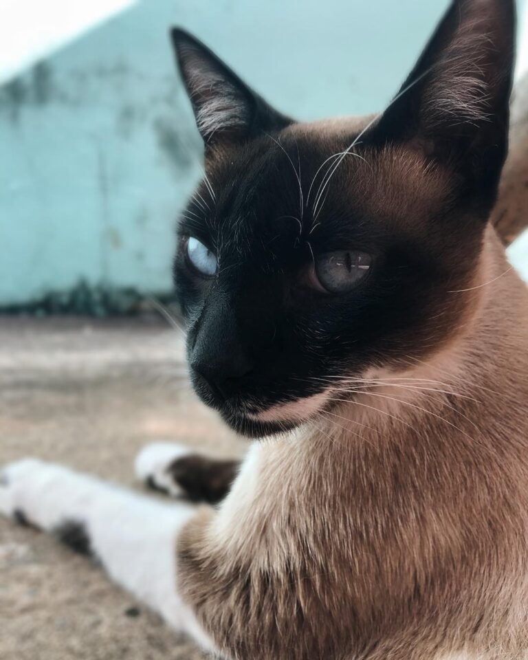 Hello friends!