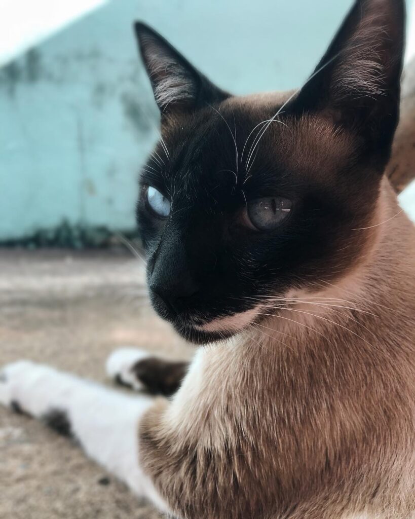 Hello friends!
